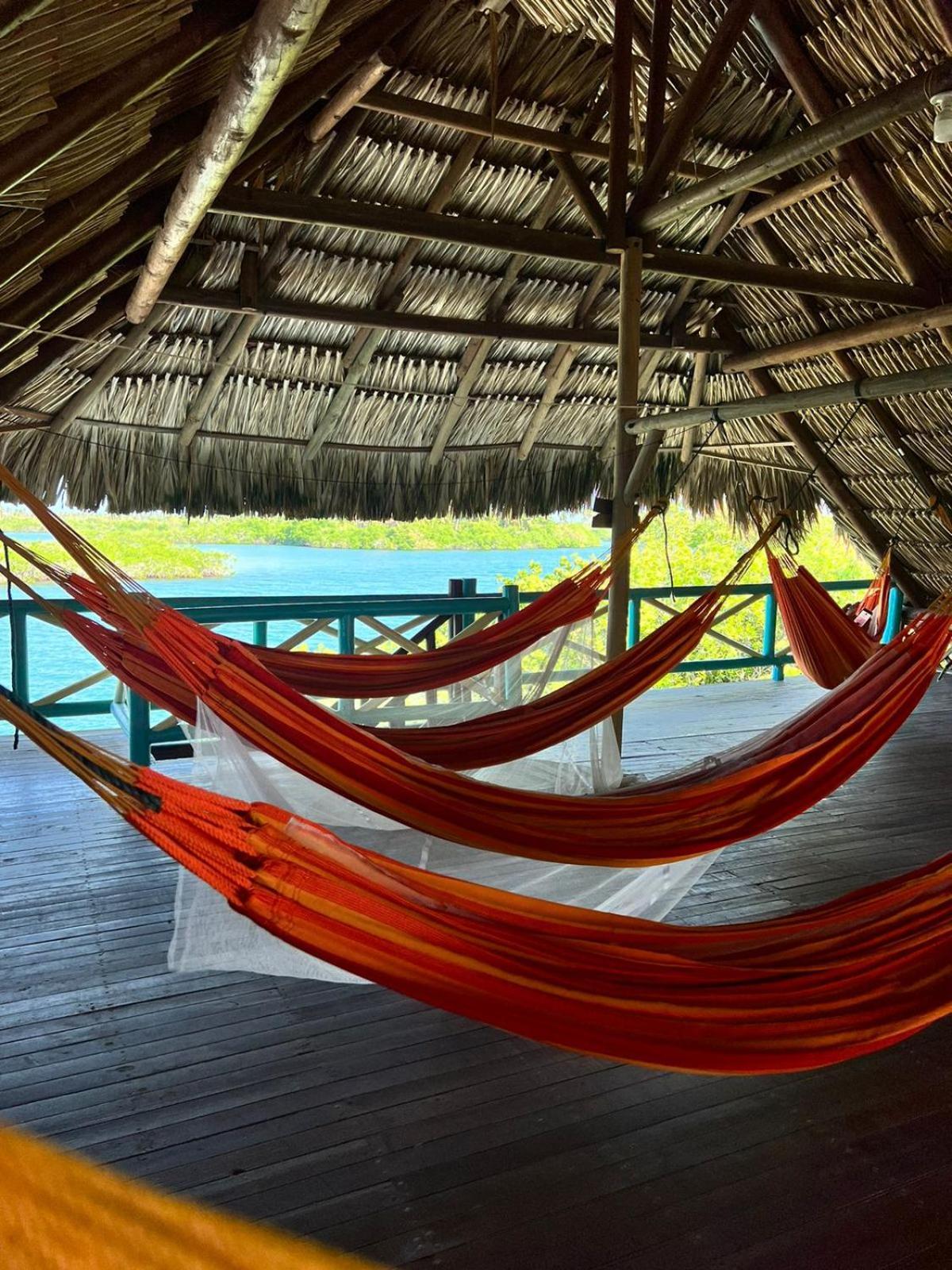 Hotel El Arca Tintipan Island Esterno foto